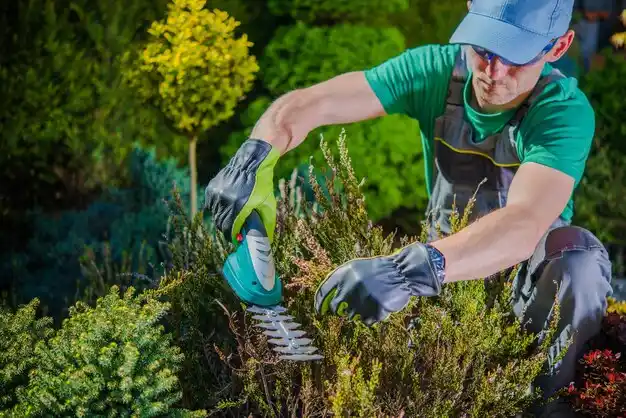 landscaping services Wilder